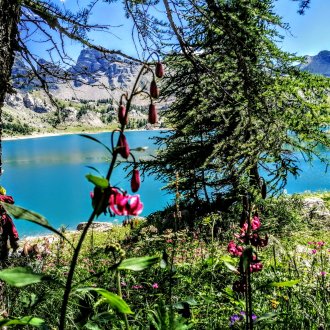Lac d'Allos 
