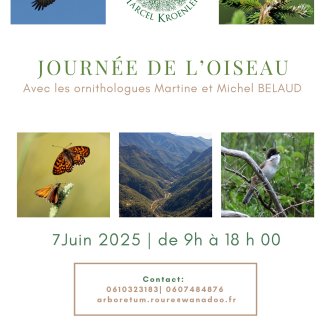 Journée de l'oiseau à l'arboretum de Roure