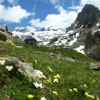 La Madone de Fenestre au printemps