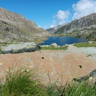 roche et lac