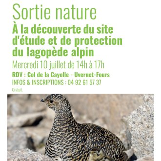 Affiche sortie nature 
