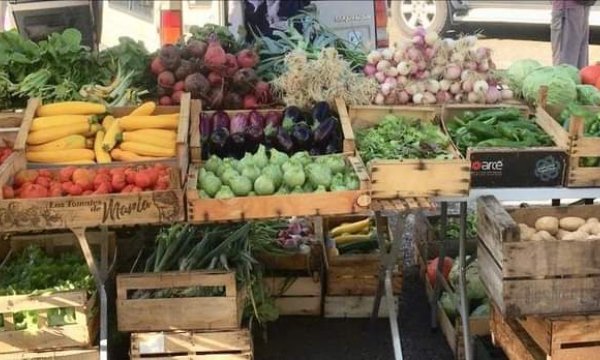 Banc de légumes du Jardin de Benoît et Léa 