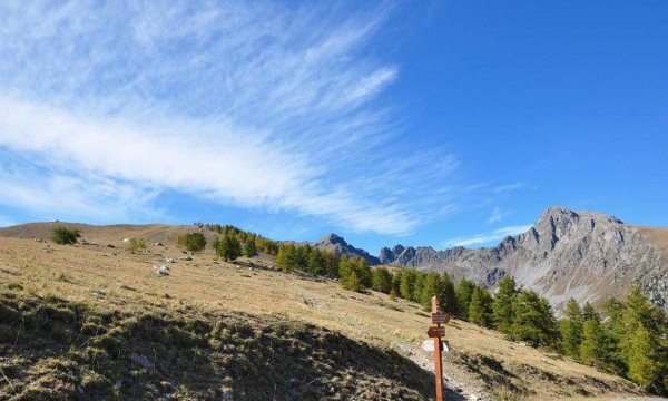 Vue sur les montagnes
