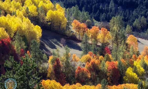 Paysage d'automne en Ubaye 