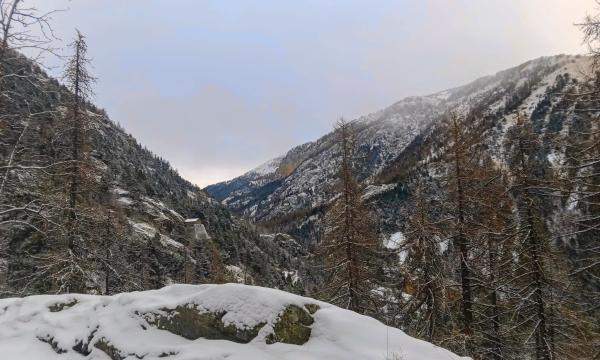 Paysage d'hiver au gîte Neige et Merveilles Parc national du Mercantour 
