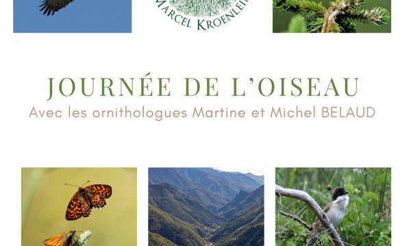 Journée de l'oiseau à l'arboretum de Roure
